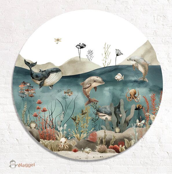 Muurcirkel Sea life 80 cm sale